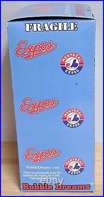 2002 Bobble Dreams Expos Tim Raines Bobble Head In Box