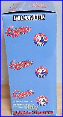 2002 Bobble Dreams Expos Tim Raines Bobble Head In Box