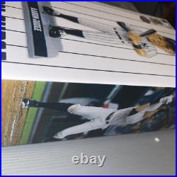 Aaron Judge 2018 New York Ny Yankees Universe Bobblehead 0008/3000 Foco Mlb