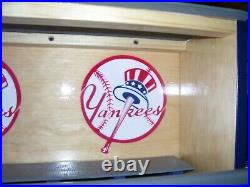 Aaron Judge New York Yankees bobble head display case with felt floor
