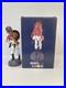 Danville Braves Ronald Acuña Jr Andruw Jones Acuña Matata Bobblehead Rare SGA