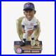 Ernie Banks Chicago Cubs 1960 Gold Glove Bobblehead MLB Baseball