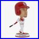Jim Edmonds St. Louis Cardinals Field Stripe Bighead Bobblehead MLB Baseball