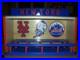 New York Met Bobble head display case 14 x 22 inches custom made 16 bobbles
