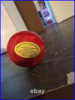 ROBBIE REDBIRD Palm Beach / St. Louis Cardinals MiLB Mascot SGA Bobblehead NIB