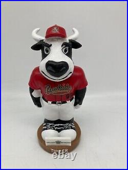 Tipper Mascot Bank Figure 2023 Visalia Rawhide NOTa Bobblehead SGA