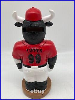 Tipper Mascot Bank Figure 2023 Visalia Rawhide NOTa Bobblehead SGA